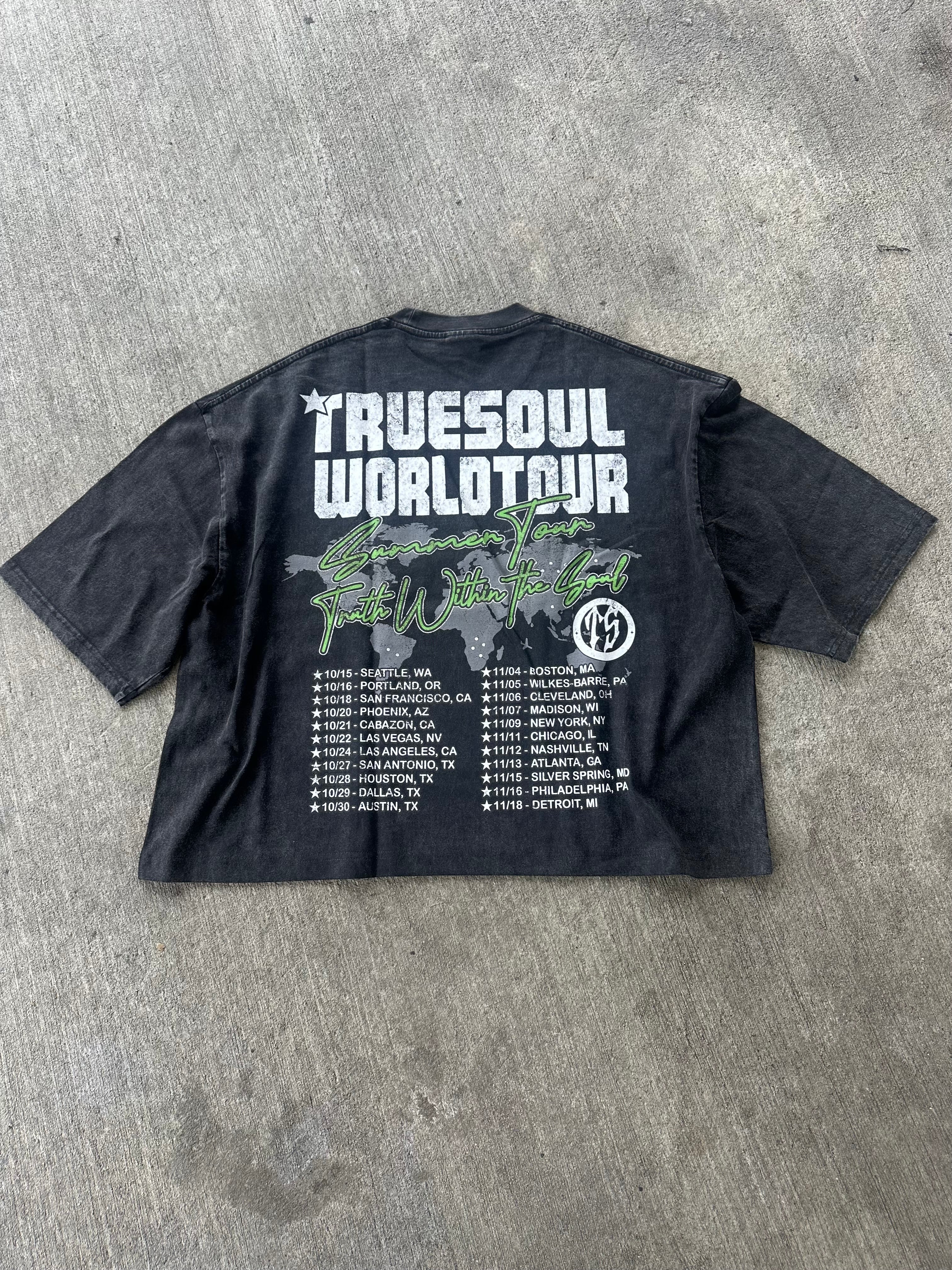RODMAN WORLD TOUR TEE (VERT)